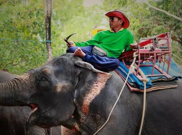 蘇州科技項目咨詢公司，科技項目，創新創業扶持政策，http://m.hsew.com.cn/，智為銘略，科技項目咨詢，科技項目咨詢公司，蘇州智為銘略企業管理有限公司