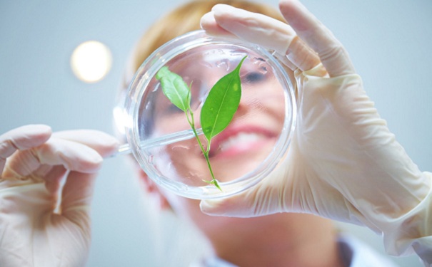 高新技術企業(yè)認證