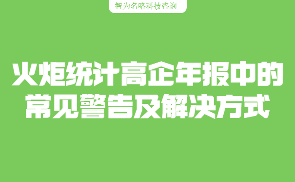 火炬統計高企年報中的常見警告及解決方式