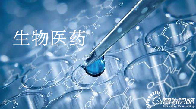 蘇州市生物醫藥產業創新（政策性資助）項目