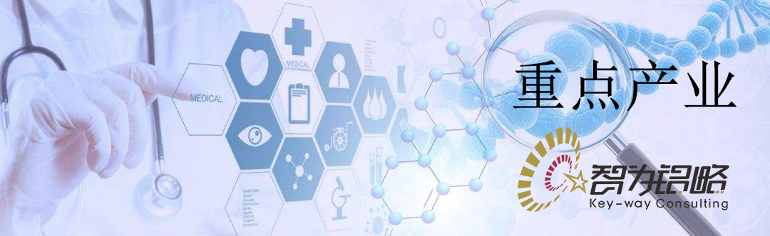 蘇州市重點產業技術創新項目