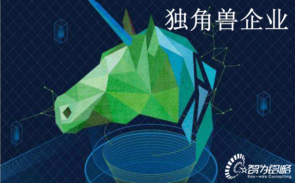 關于印發蘇州高新區獨角獸企業培育實施意見通知