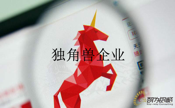 相城區獨角獸企業培育工程實施計劃實施細則通知