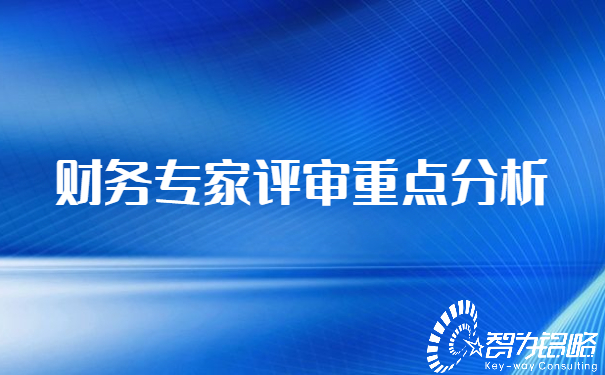 1652335611188951.jpg 財務專家評審重點分析.jpg