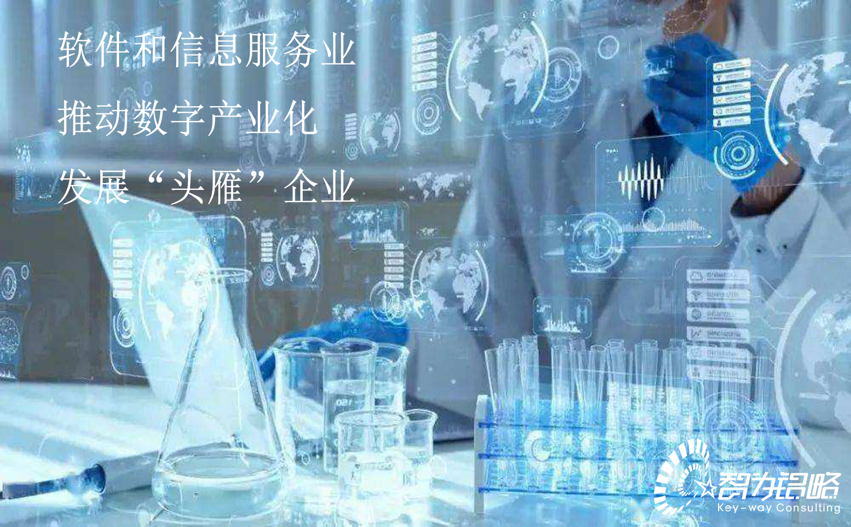 蘇州市軟件和信息服務業推動數字產業化發展“頭雁”企業評估指引（試行）