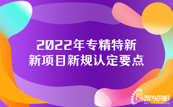 2022年專精特新新項目新規認定要點