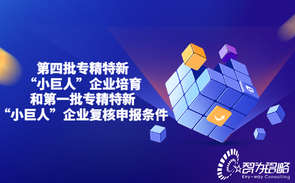 1656050760987652.jpg *四批專(zhuān)精特新“小巨人”企業(yè)培育和*一批專(zhuān)精特新“小巨人”企業(yè)復(fù)核申報(bào)條件.jpg