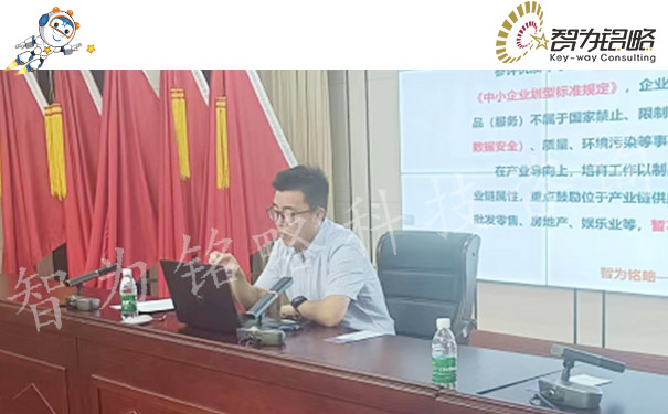 智為銘略主講泰興市中小企業數字化服務節專精特新專場