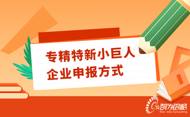 專精特新小巨人企業申報方式