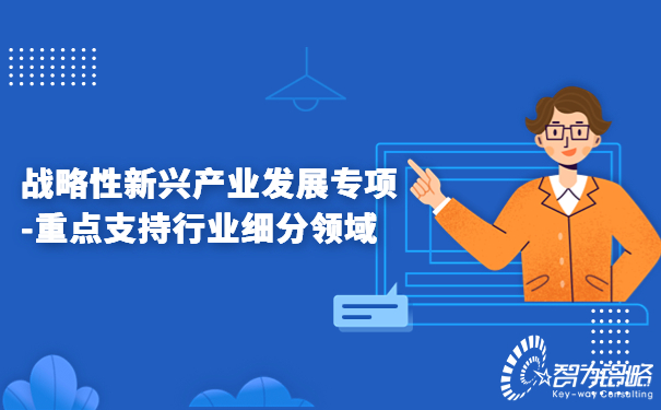 1678843306194088.jpg 戰略性新興產業發展專項-重點支持行業細分領域.jpg