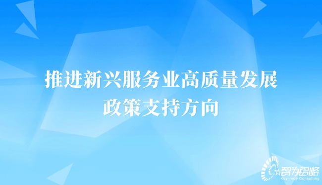 1713230317170646.jpg 推進新興服務業高質量發展的政策支持方向.jpg