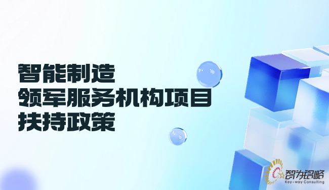 1717377684103917.jpg 智能制造領軍服務機構項目扶持政策.jpg