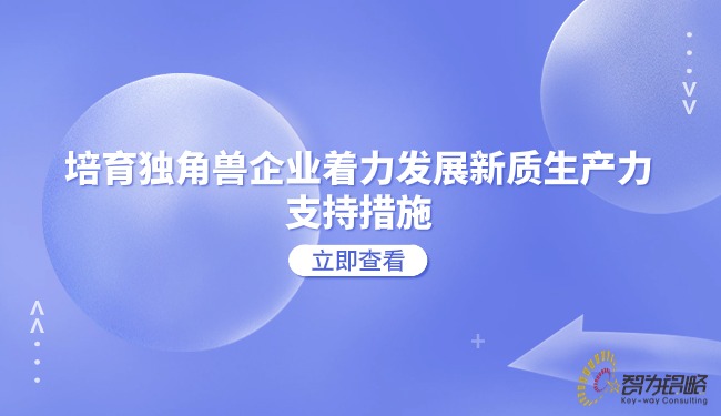 1719385522212579.jpg 培育獨角獸企業(yè)著力發(fā)展新質生產力的支持措施.jpg