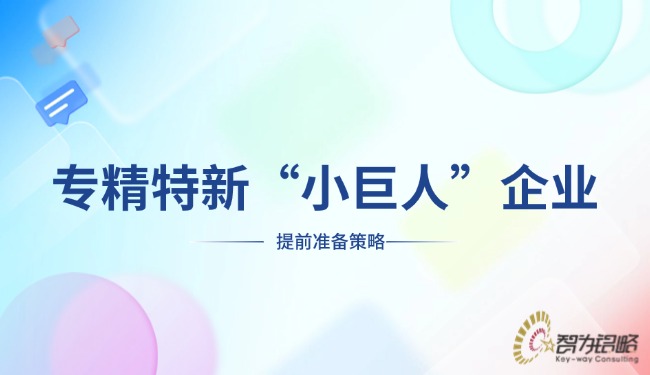 1736298514129225.jpg 專精特新“小巨人”企業(yè)提前準(zhǔn)備策略.jpg