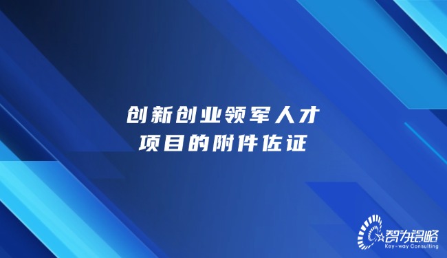 創(chuàng)新創(chuàng)業(yè)領(lǐng)軍人才項(xiàng)目的附件佐證