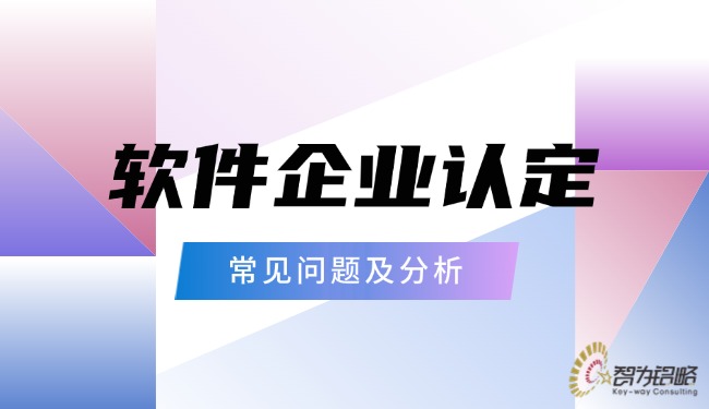1743992231138129.jpg 軟件企業認定的常見問題及分析.jpg