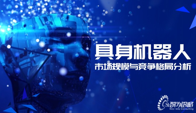 具身機器人的市場規模與競爭格局分析