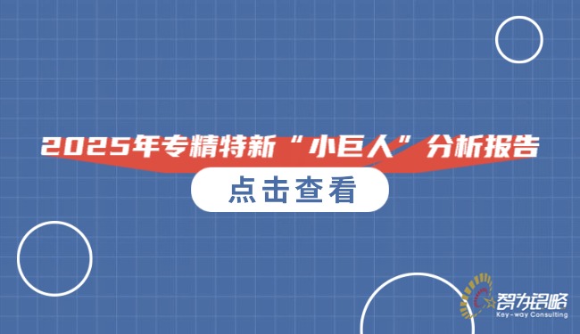 1762911691788178.jpg 2025年專精特新“小巨人”分析報告.jpg